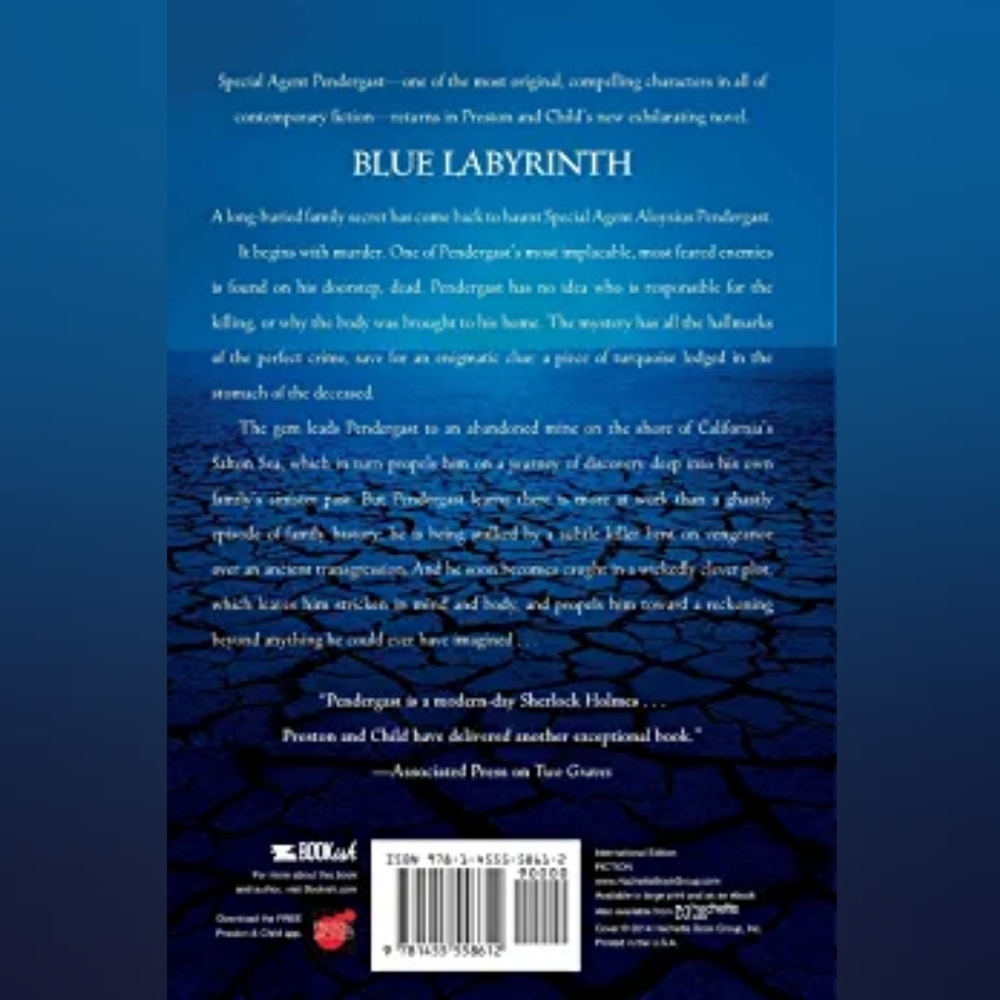 📚 Blue Labyrinth Book - Picture 2 of 2